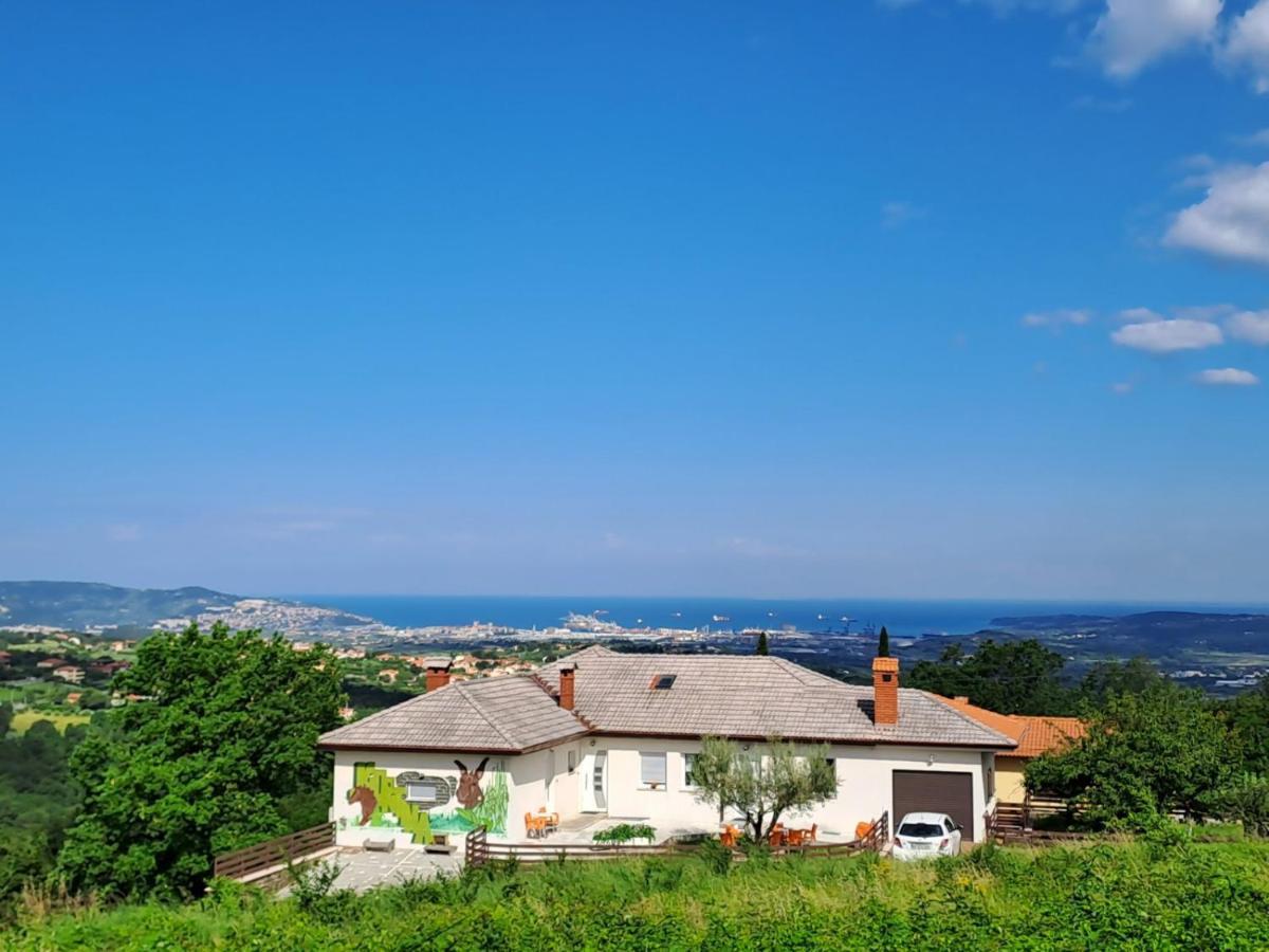 Apartments Souranded By Forest With Sea View Koper Extérieur photo