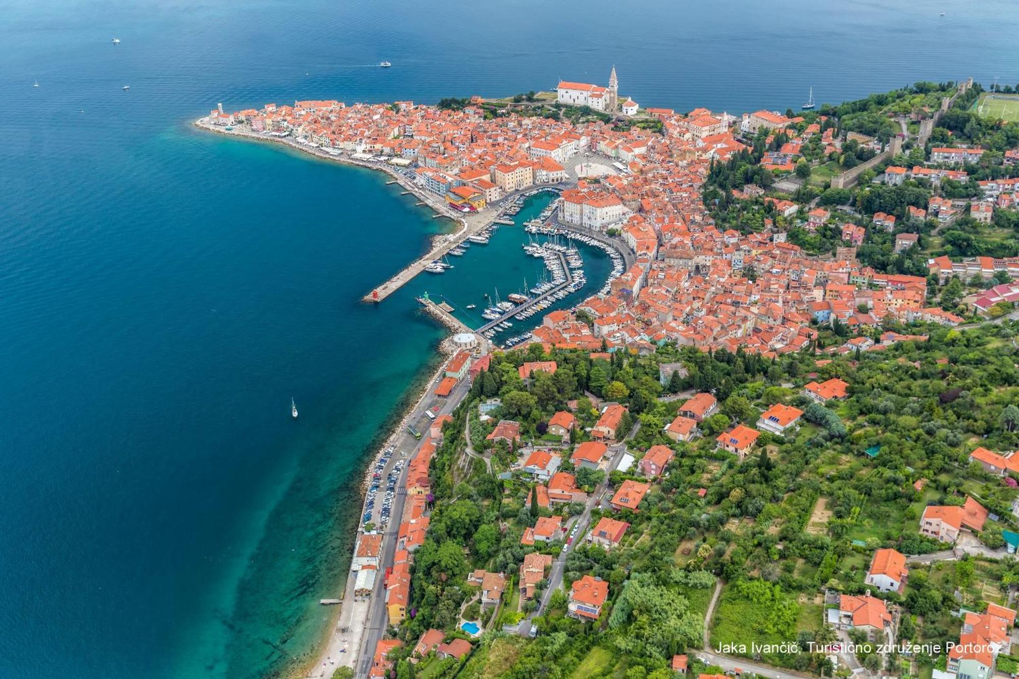 Apartments Souranded By Forest With Sea View Koper Extérieur photo