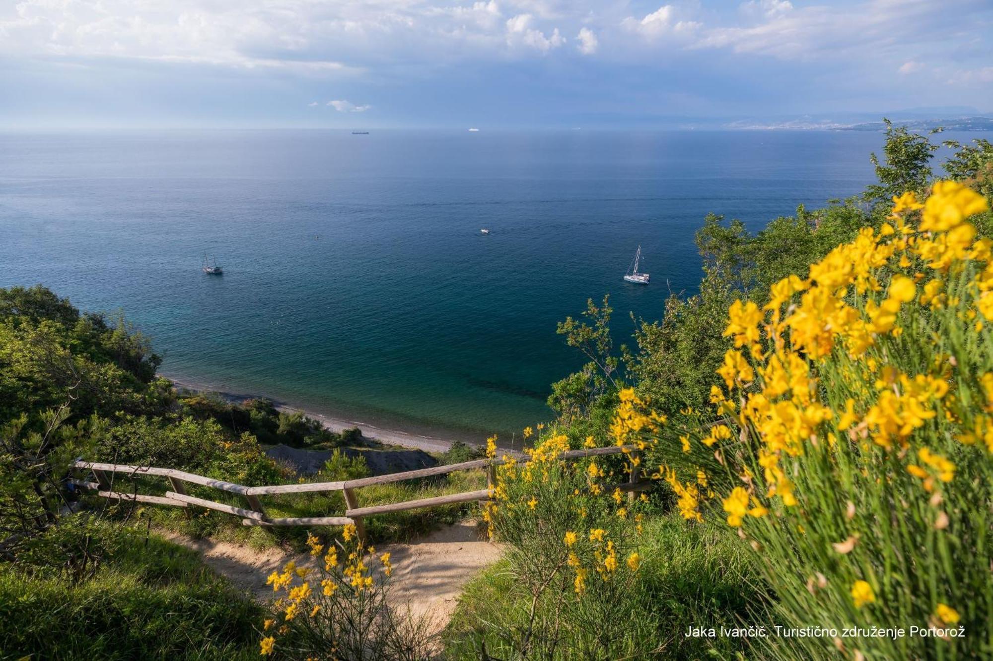 Apartments Souranded By Forest With Sea View Koper Extérieur photo