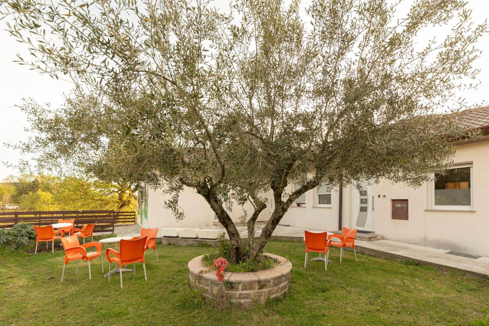 Apartments Souranded By Forest With Sea View Koper Extérieur photo