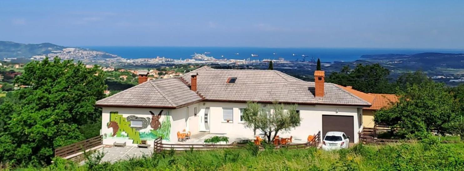 Apartments Souranded By Forest With Sea View Koper Extérieur photo