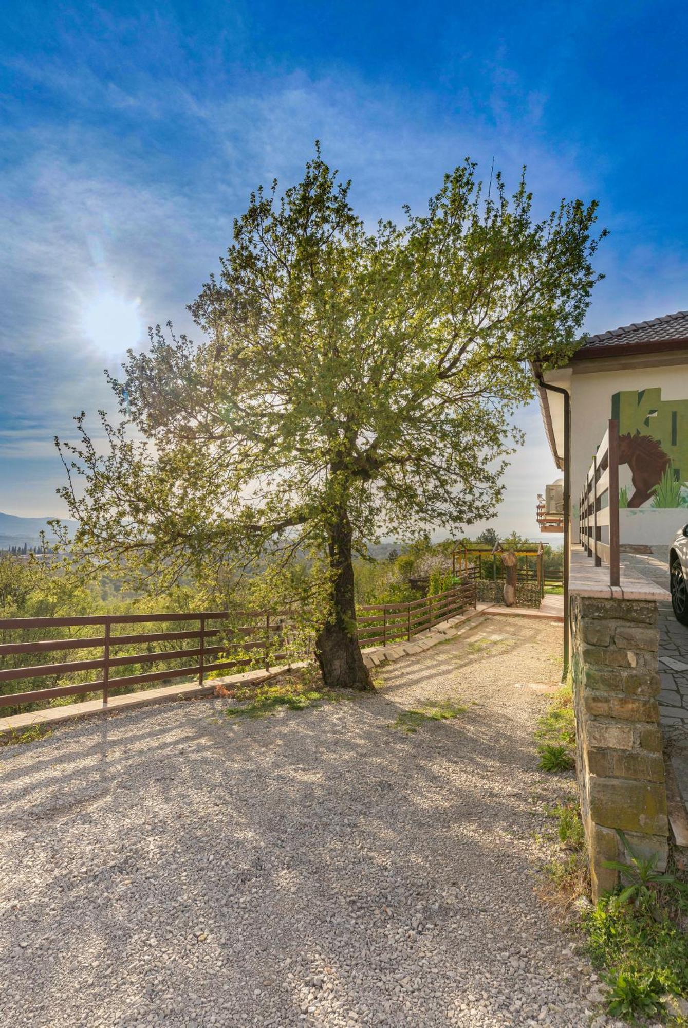 Apartments Souranded By Forest With Sea View Koper Extérieur photo